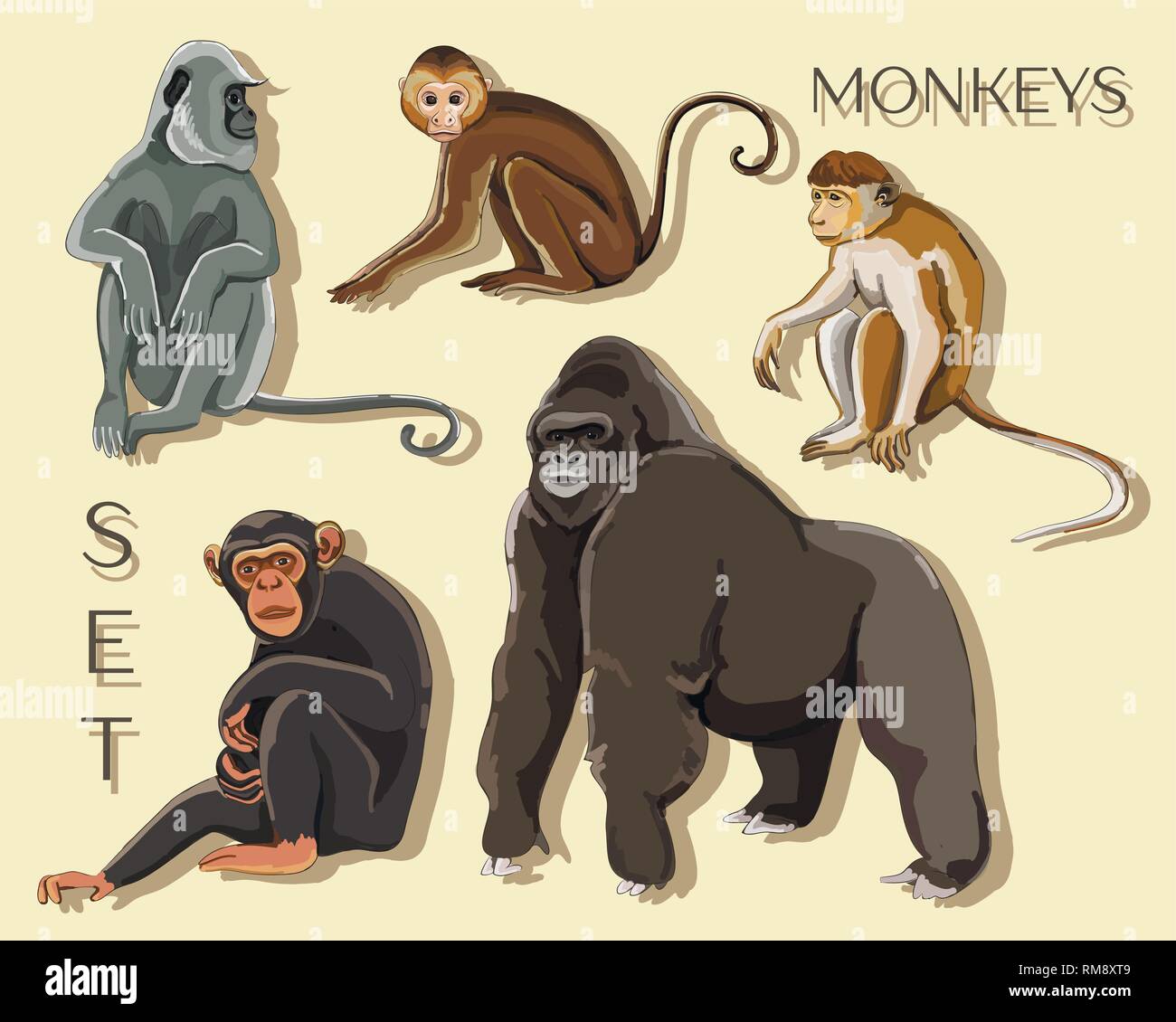 Monkey type