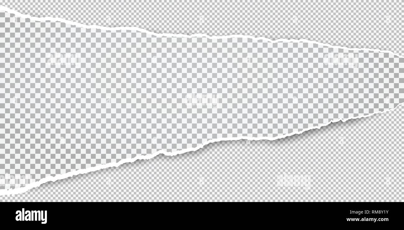 Torn white horizontal squared paper strips for text or message is on white background. Vector illustration Stock Vector