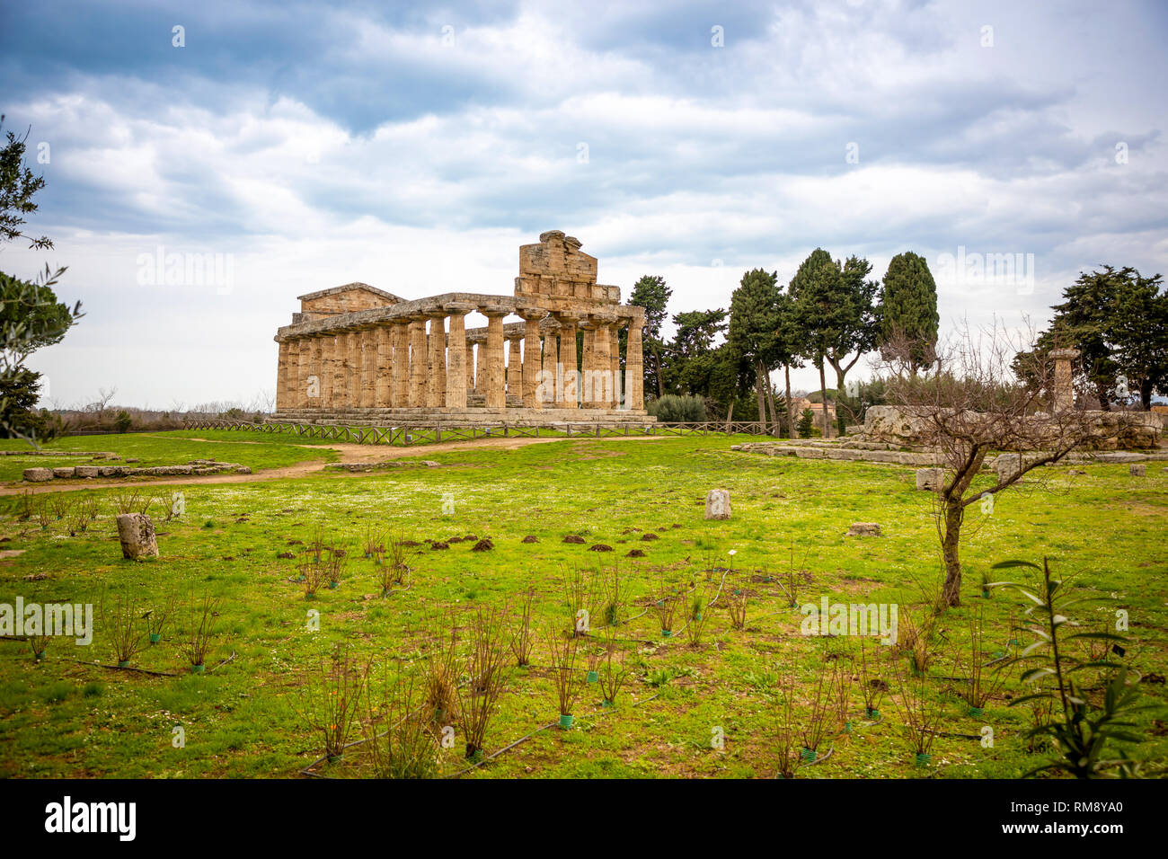 Old ruins of Athena Temple in paestum, Italy Stock Photo