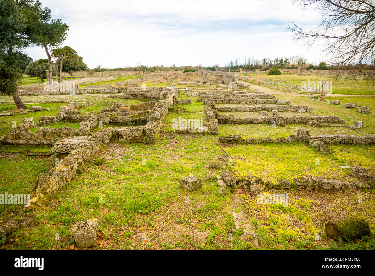 Old ruins of ancient Greek city in Paestum, Italy Stock Photo