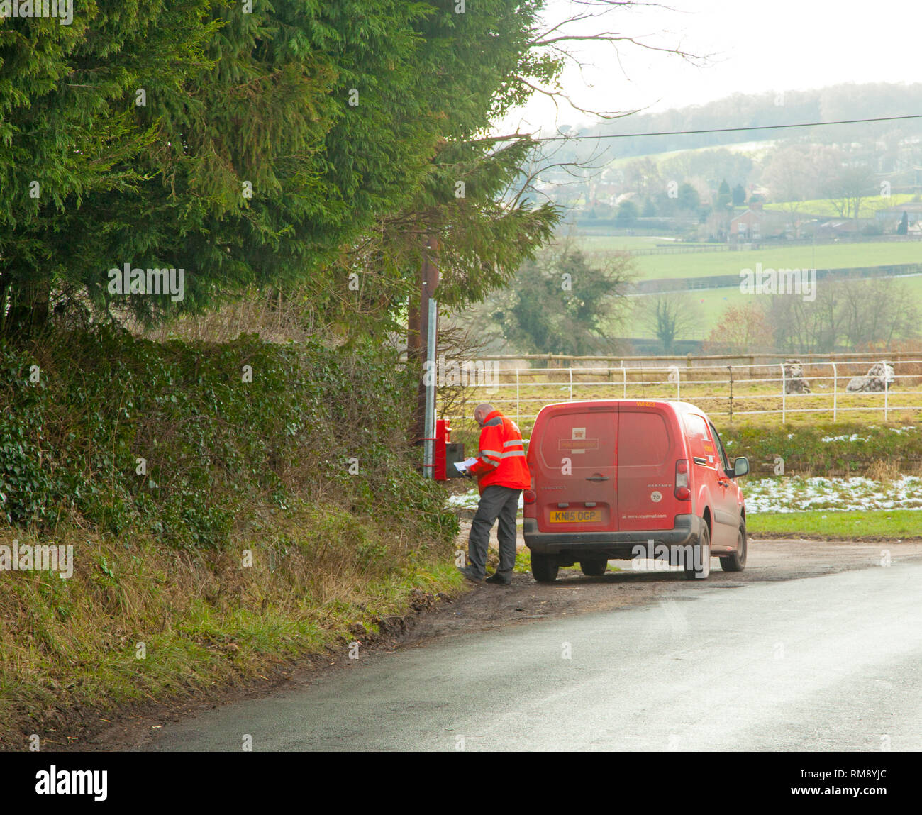 Postman wearing  high vis jacket in post van making a Rural letter collection from a post box in Cheshire countryside Stock Photo