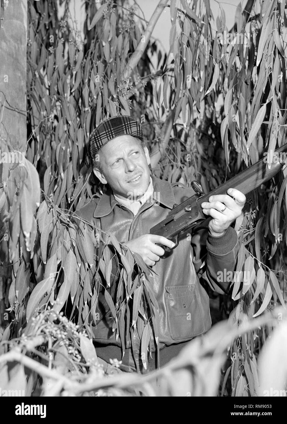 A hunter takes aim with a shotgun while hunting in Florida, ca. 1954. Stock Photo