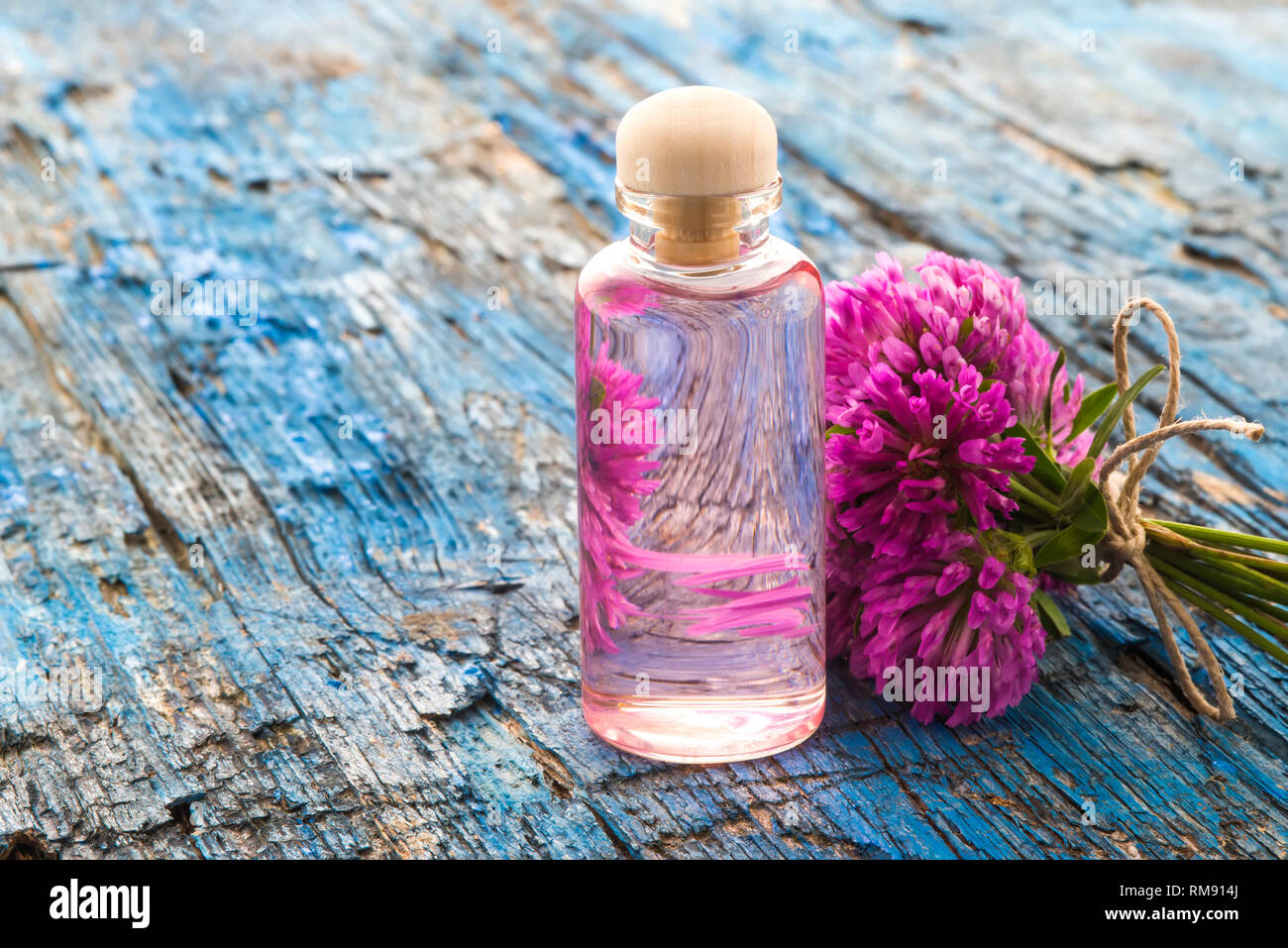 Red clovers flowers essence in glass bottle on rustic background Stock Photo
