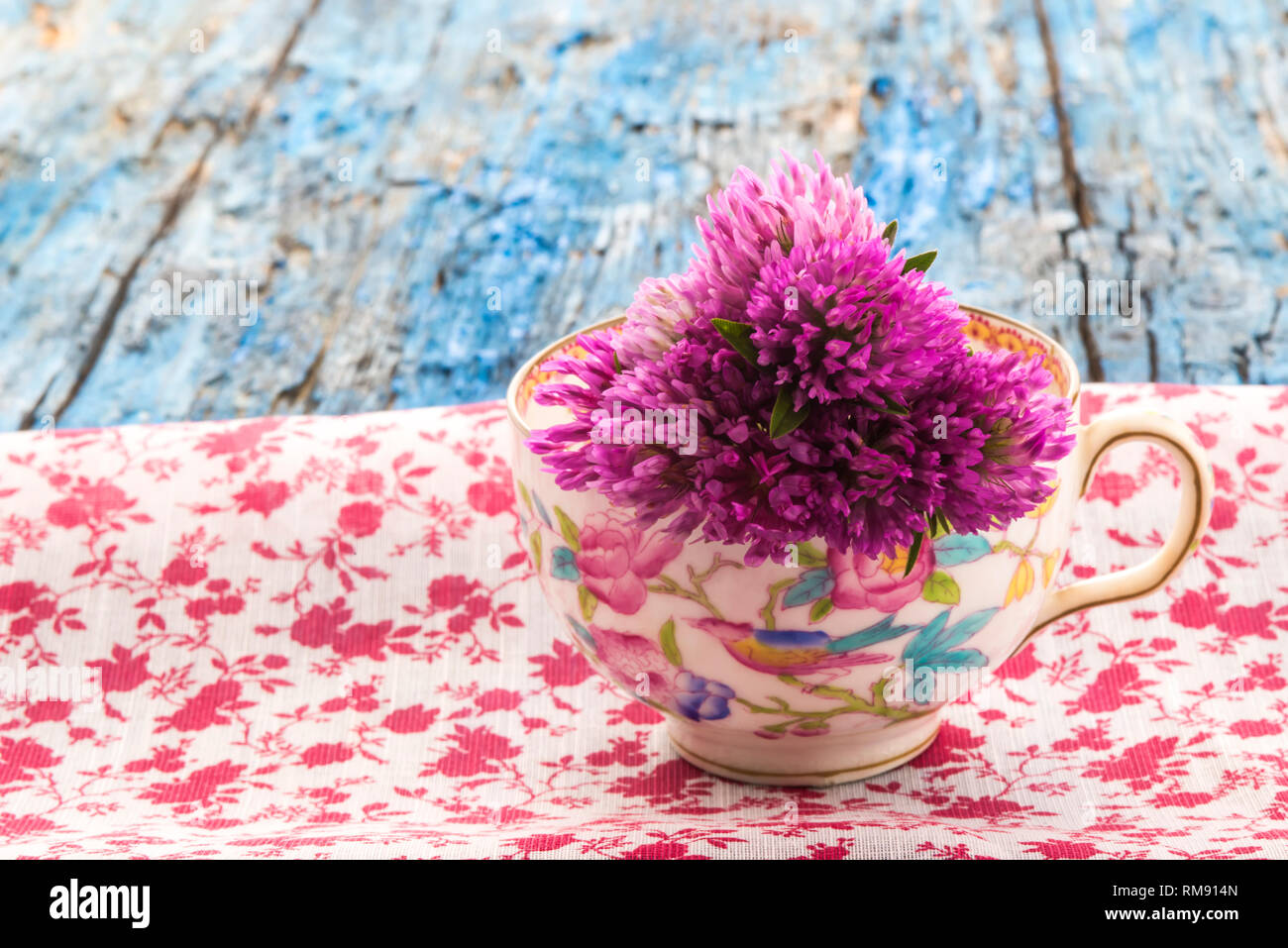Red clovers in teacup, concept of medicinal tea for menopause on wooden background Stock Photo