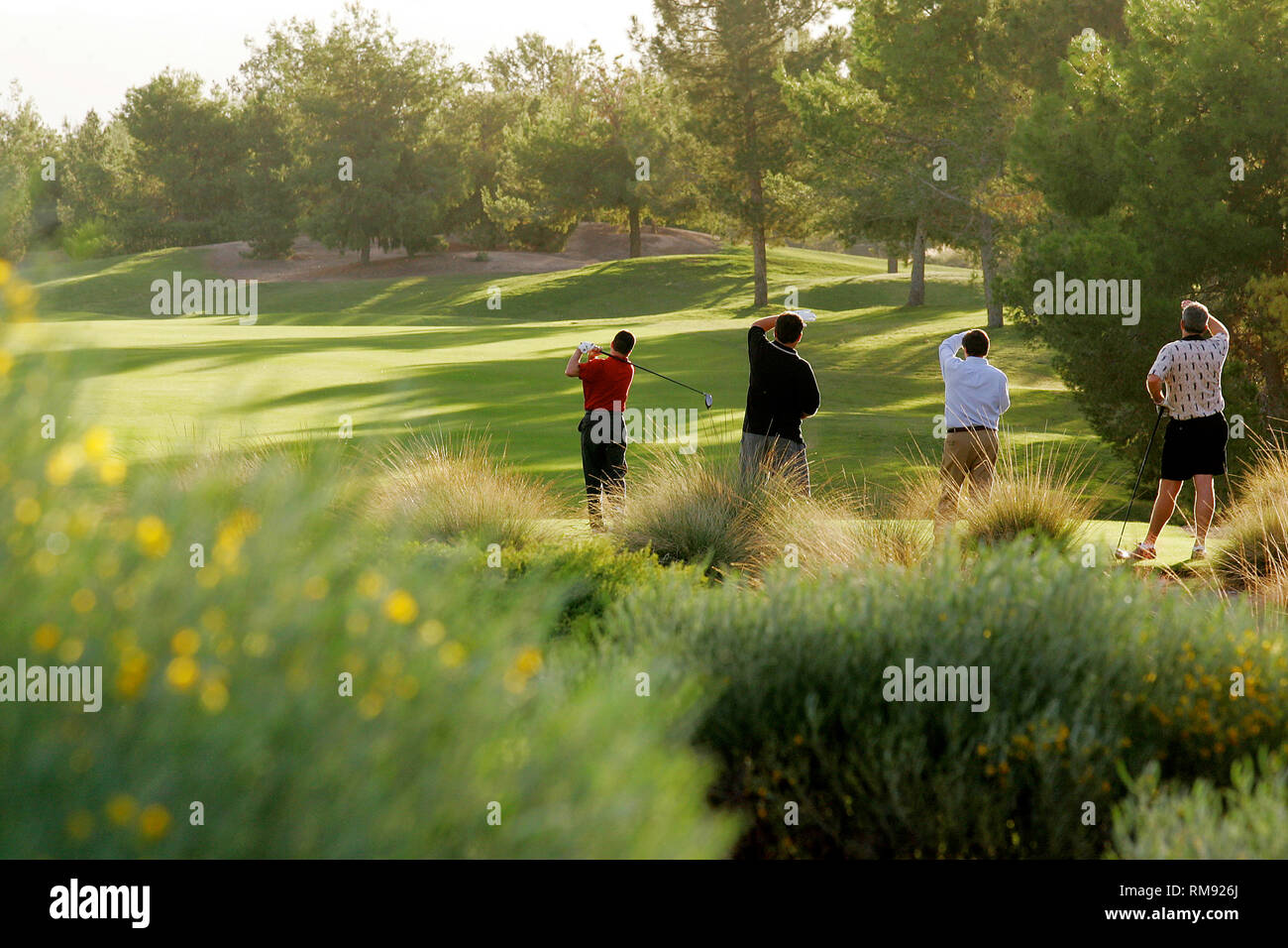 A group of golfers watch a fellow golfer drive the ball off the tee. Stock Photo