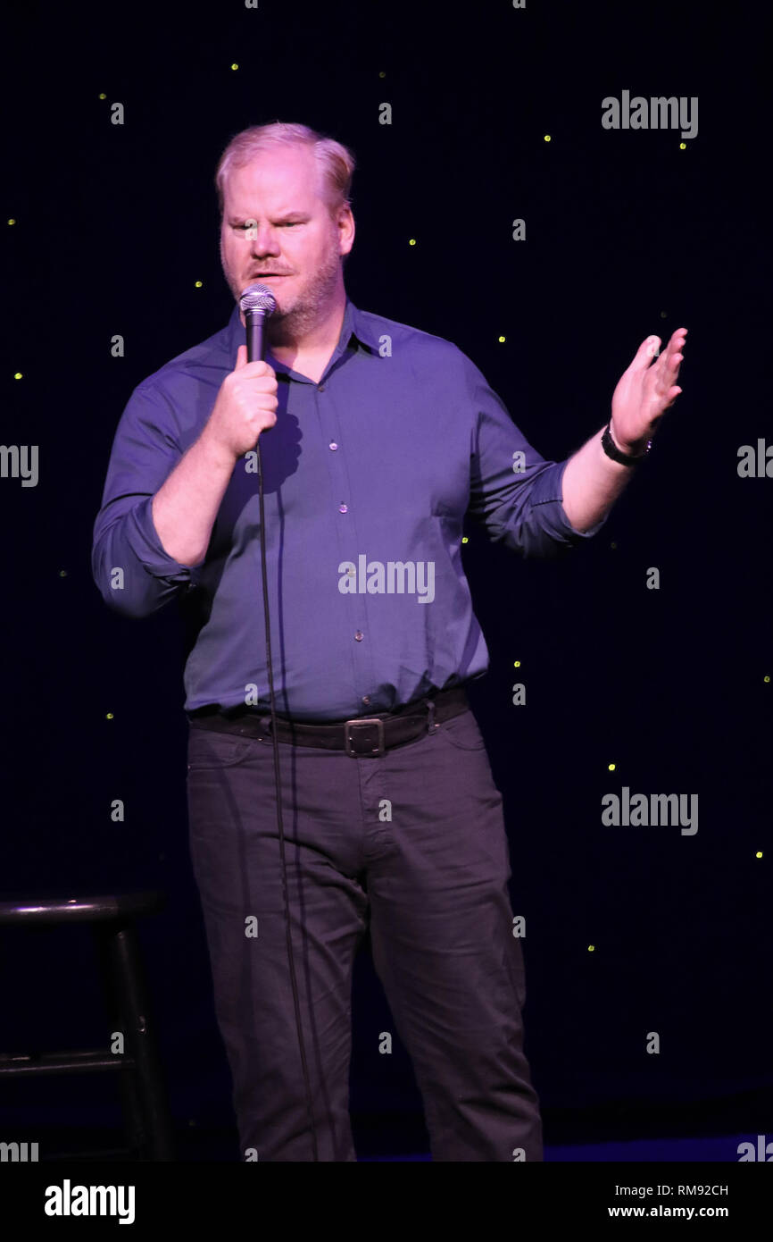 Comedian, actor, voice over artist, and author Jim Gaffigan is shown performing on stage during