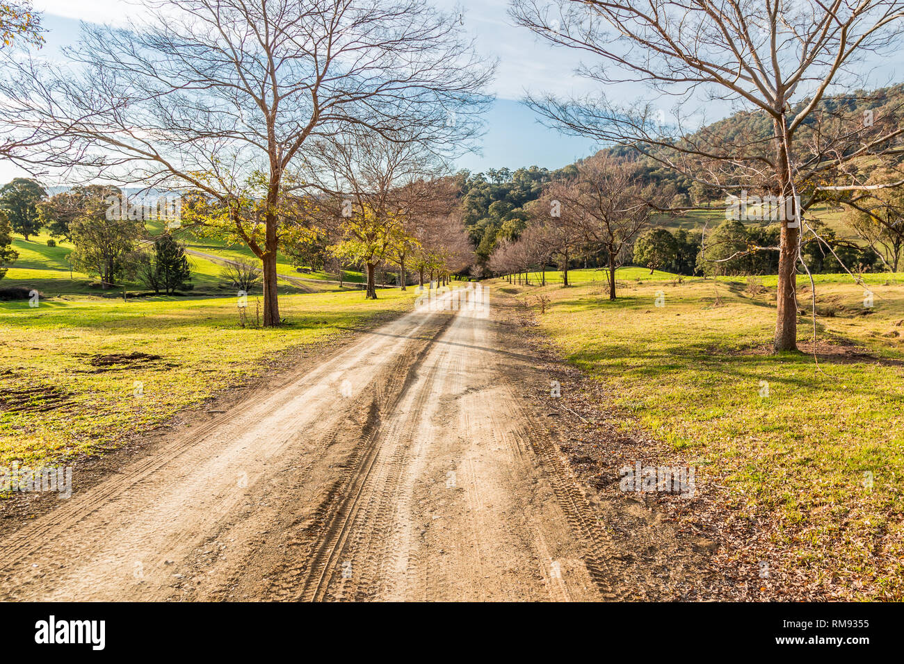 Dirt road in the Upper Hunter Valley, NSW, Australia, in the evening light. Stock Photo