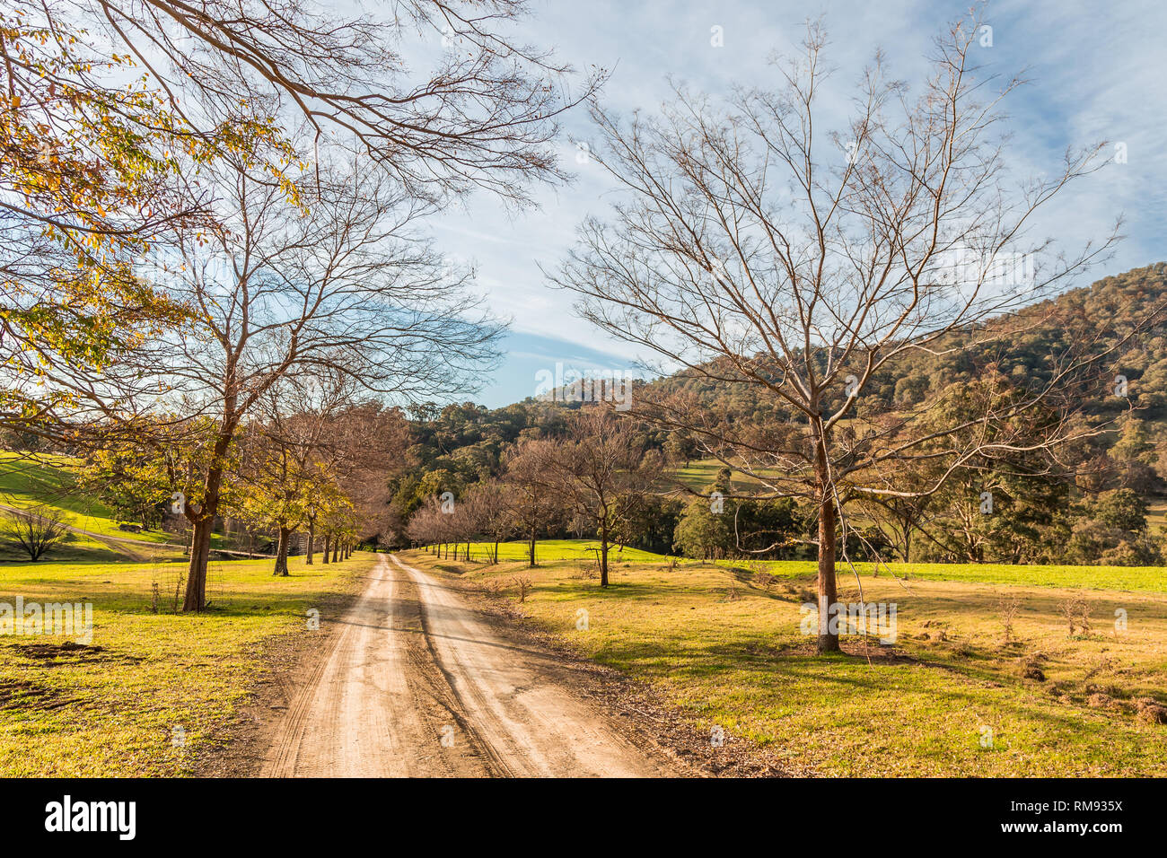 Dirt road in the Upper Hunter Valley, NSW, Australia, in the evening light. Stock Photo