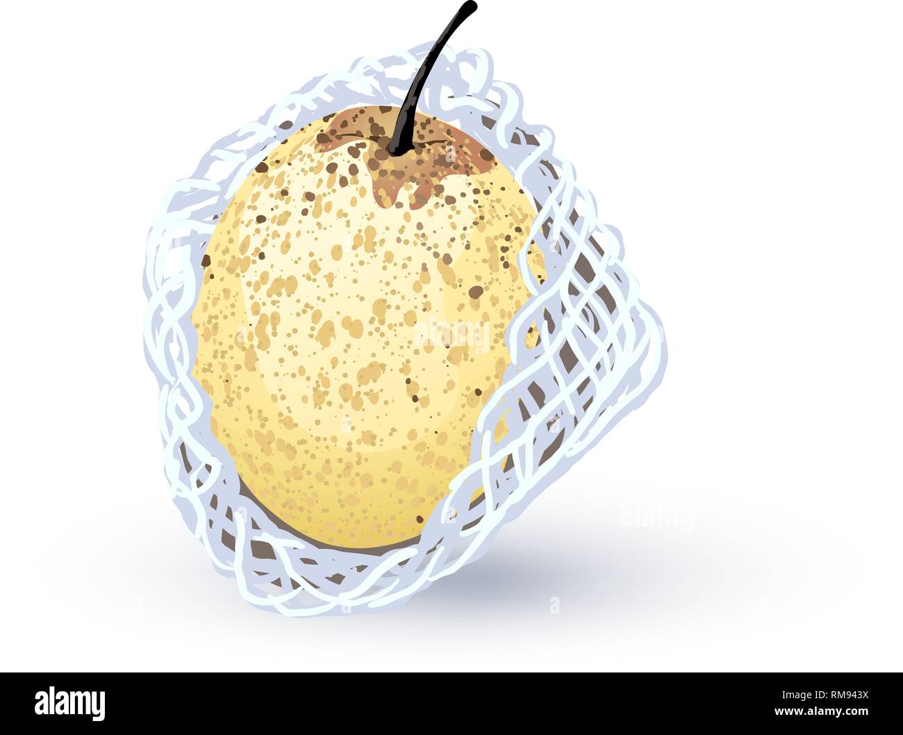 Pear vector on white background Stock Vector Image & Art - Alamy