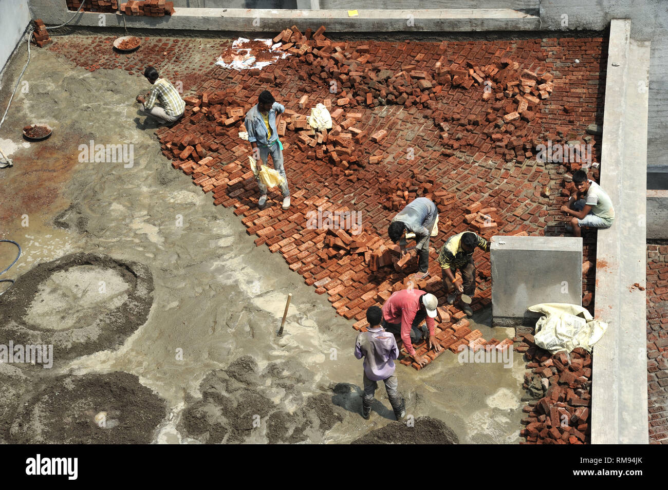 Workers laying bricks on terrace for waterproofing, Mumbai, Maharashtra, India, Asia Stock Photo
