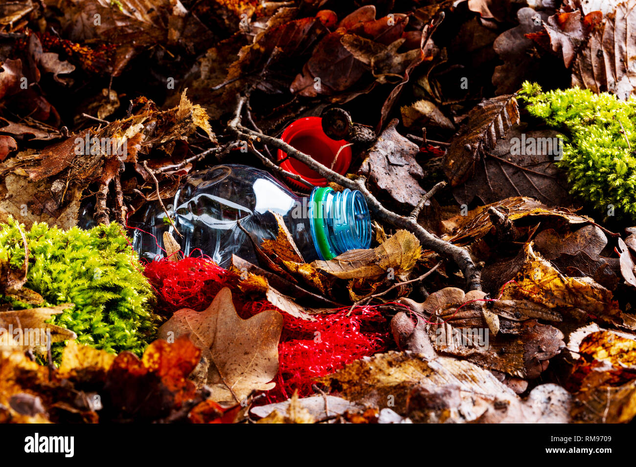 Still life of an empty used plastic bottle waste on forest floor as an environmental pollution closeup Stock Photo