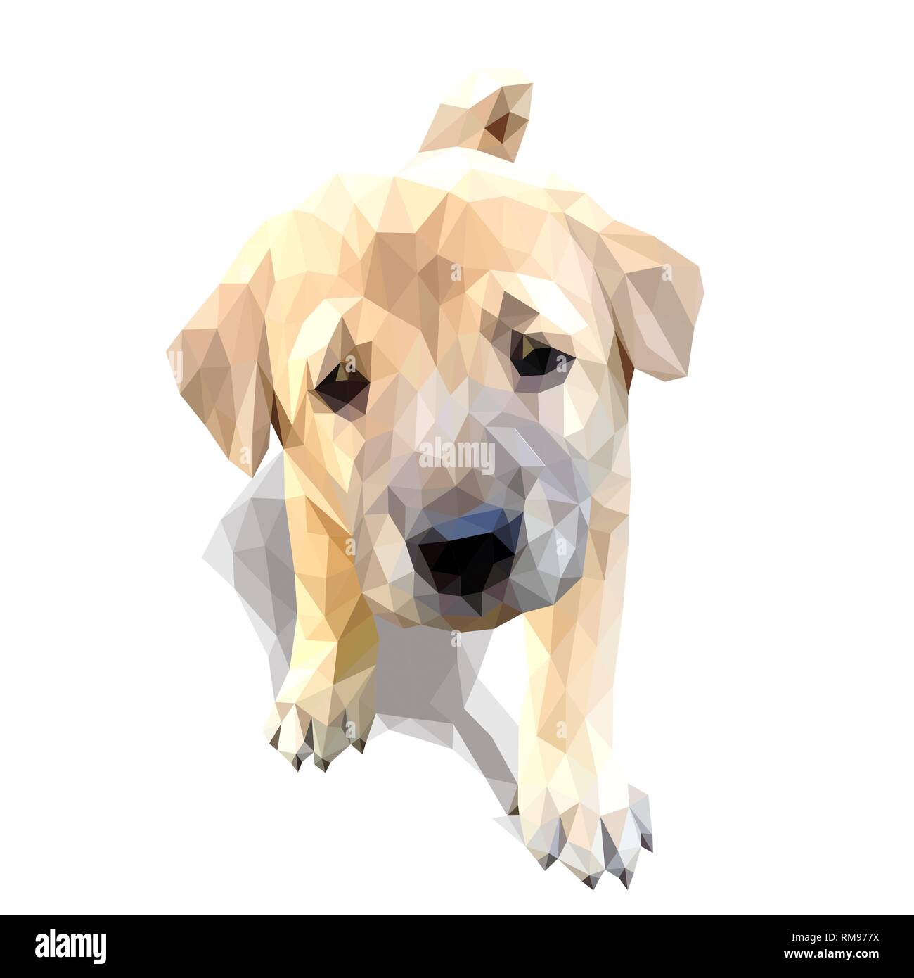 Puppy polygon vector art Stock Vector Image & Art - Alamy