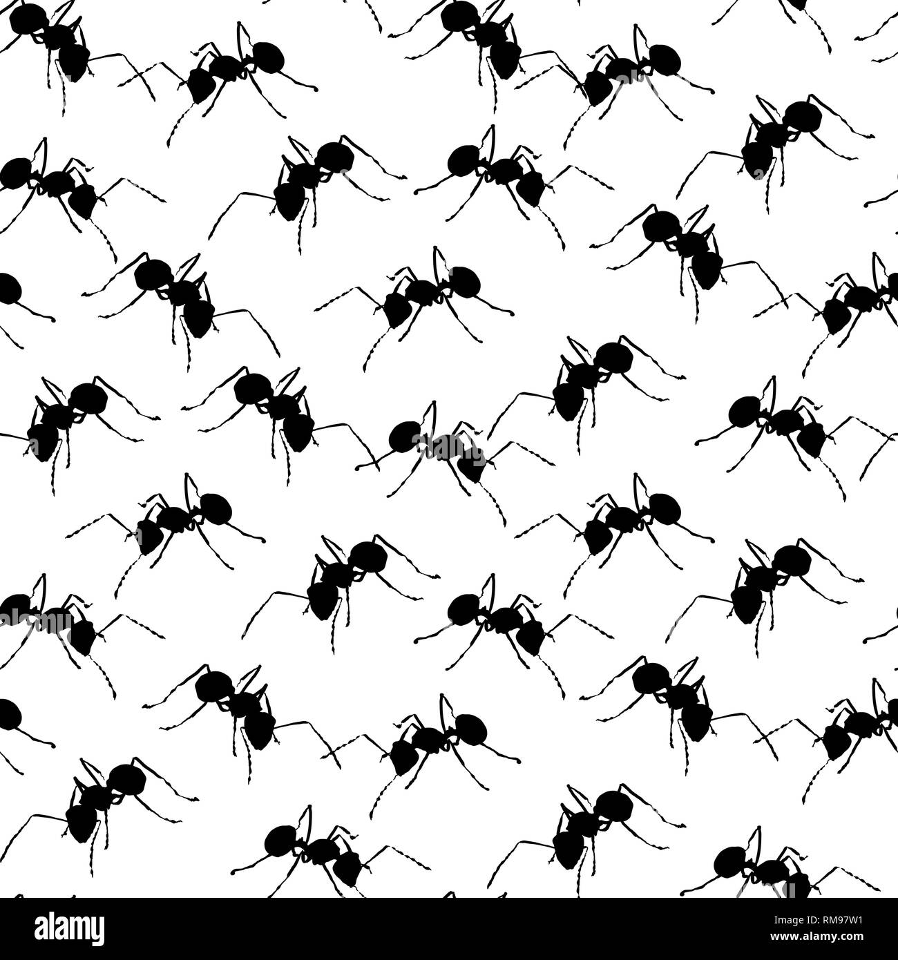 Black ants on white seamless background Stock Vector Image &amp; Art - Alamy