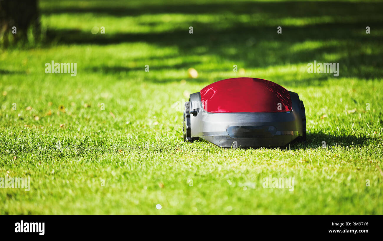 Robotic lawn mower on summer meadow in the garden with copy space Stock Photo