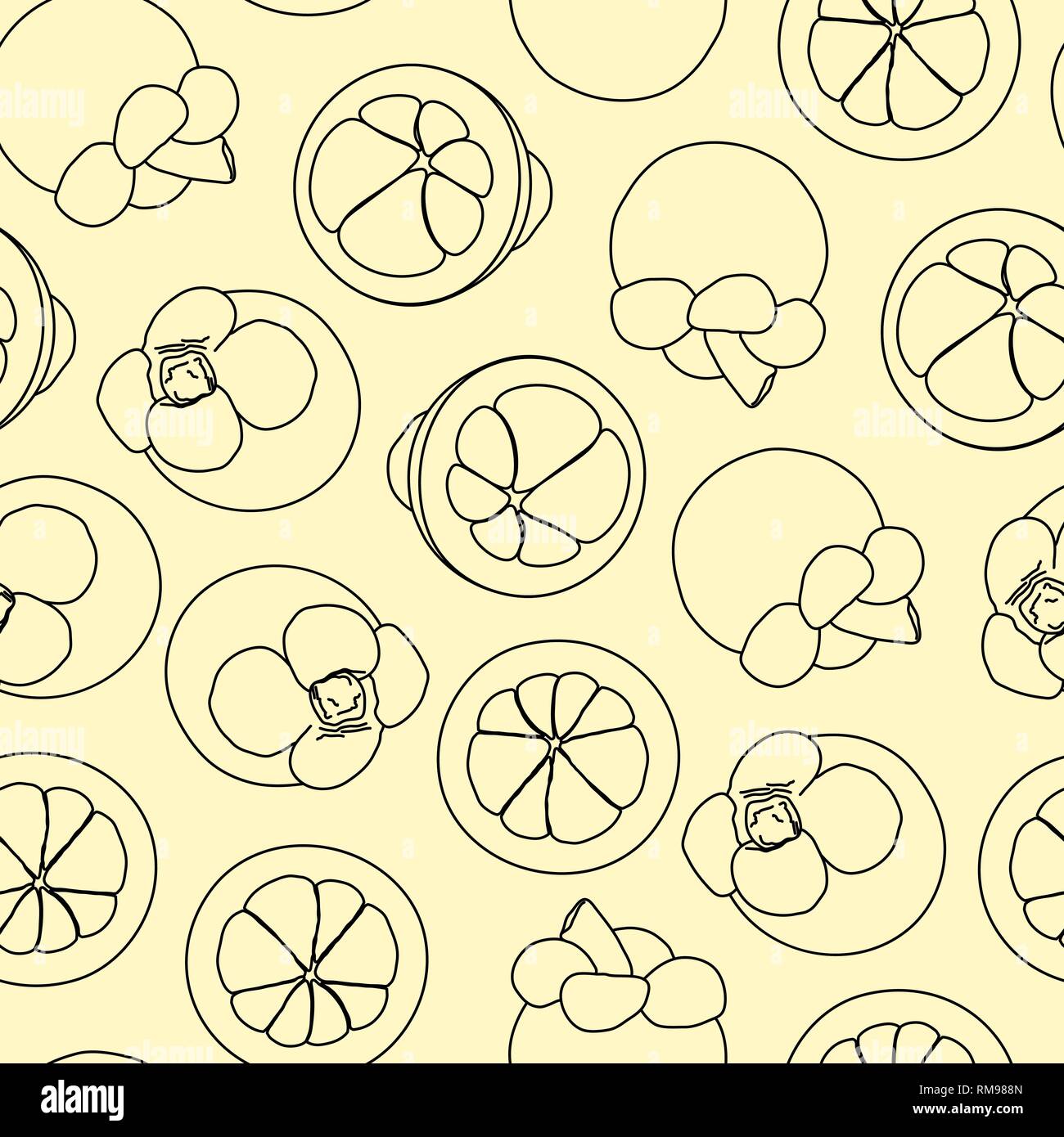Mangosteen doodle hand drawn seamless background. Stock Vector