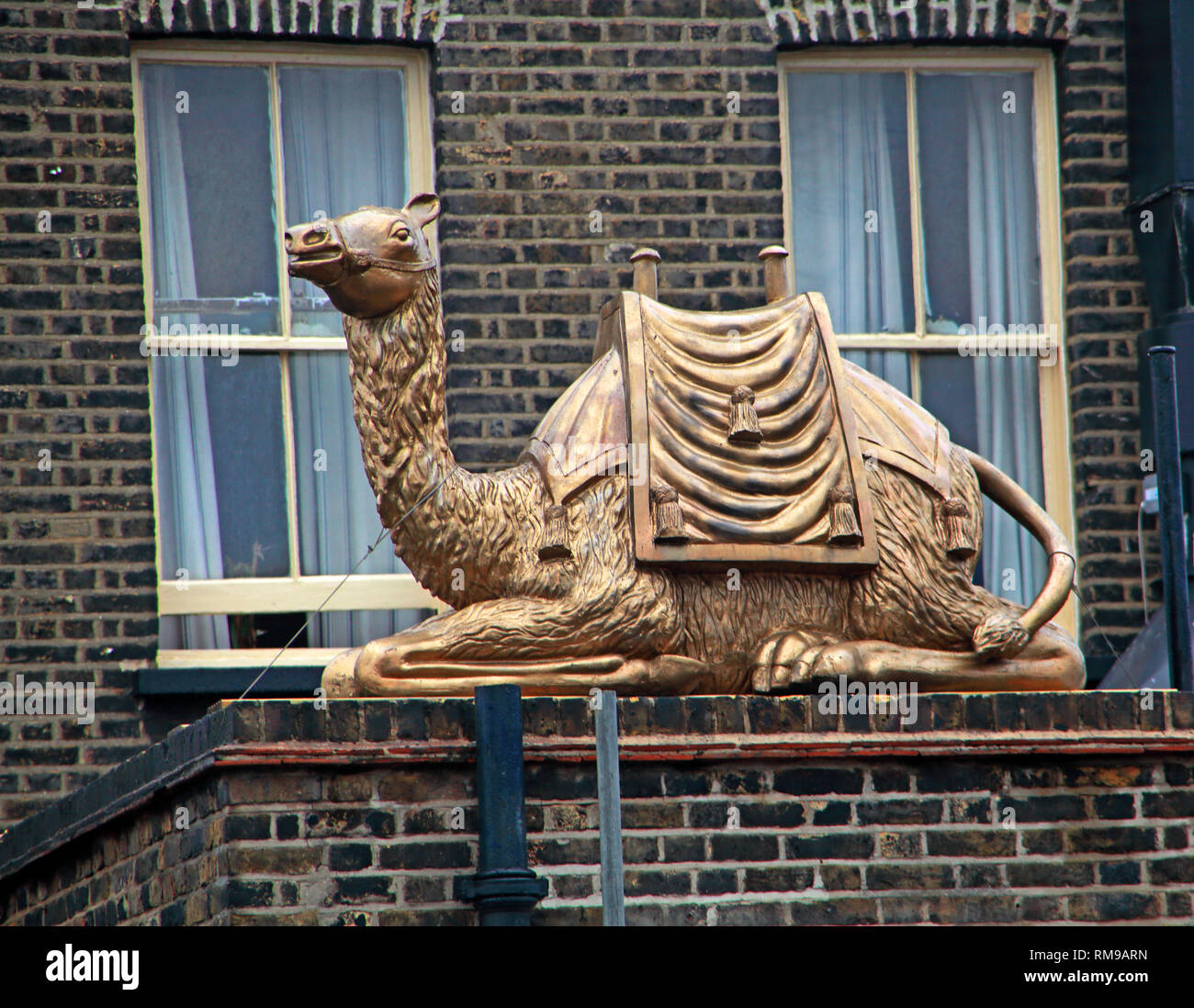 Golden Camel statue, at the Camel and Artichoke pub, 121 Lower Marsh, Lambeth, London, South East England, UK,  SE1 7AE Stock Photo