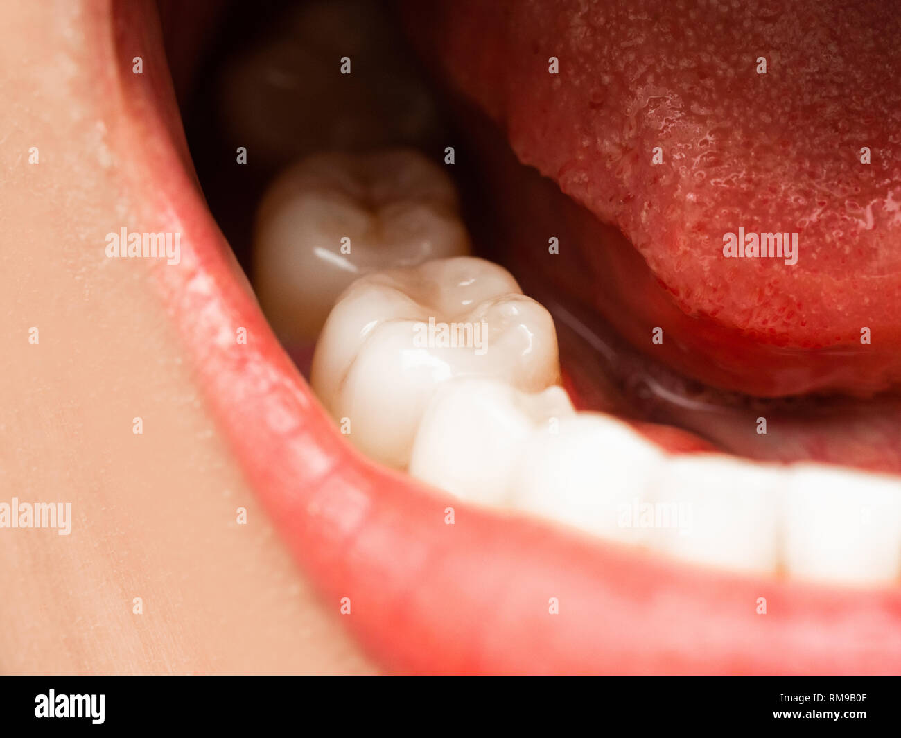 Closeup Shot Of Asian Chinese Thai Woman Female Makeup Face Woman With Red Lips Lipstick And Healthy Dental White Great Perfect Teeth Smiling Denta Stock Photo Alamy