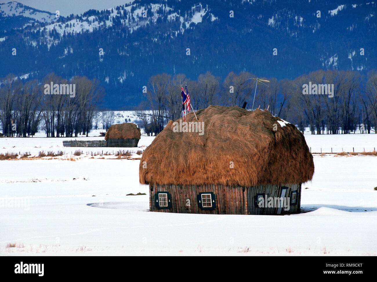 A large supply of hay to feed cattle during the winter is humorously disguised as a house in this snow-covered field on a ranch in Jackson Hole, Wyoming, USA. Stock Photo