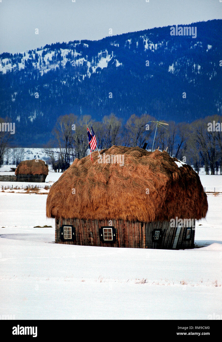 A large supply of hay to feed cattle during the winter is humorously disguised as a house in this snow-covered field on a ranch in Jackson Hole, Wyoming, USA. Stock Photo