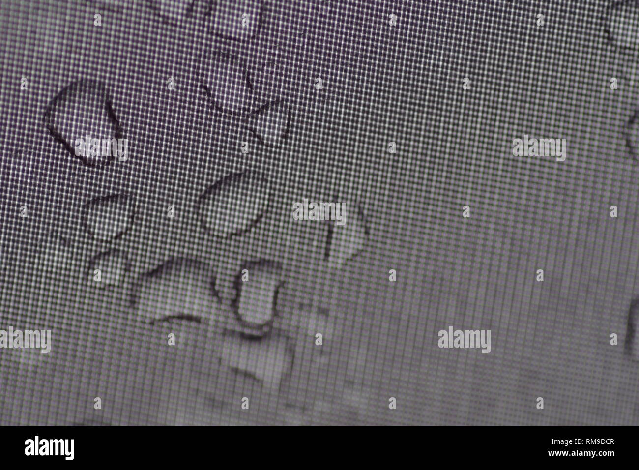 Macro Photo of Rain Drops on a Tent Skin. St Andrew's, Scotland, UK. Stock Photo