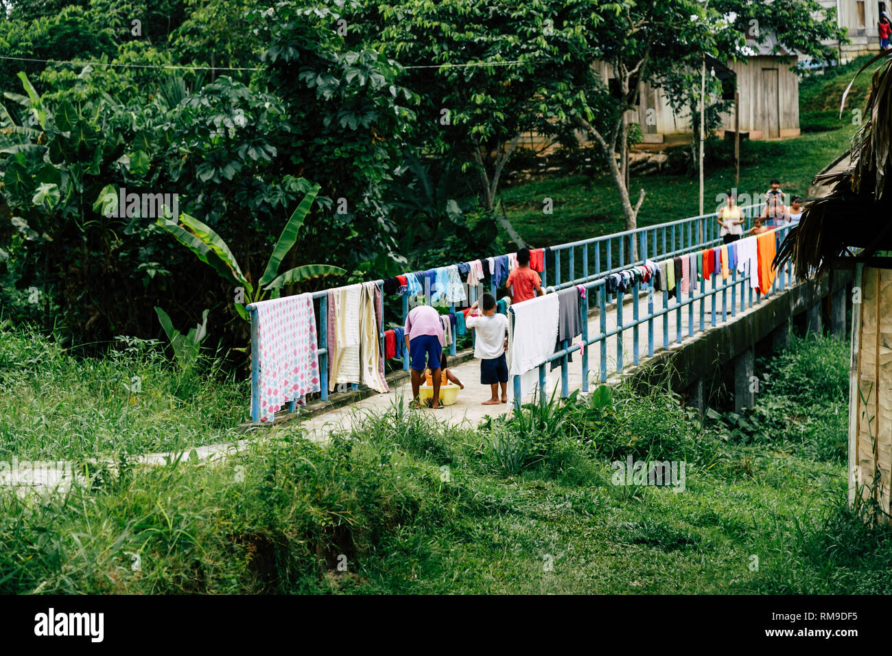 Surrounded by lush vegetation, young children are hanging laundry to the rails of a bridge in a village (Padre Cocha) in the Amazon jungle in Peru. Stock Photo