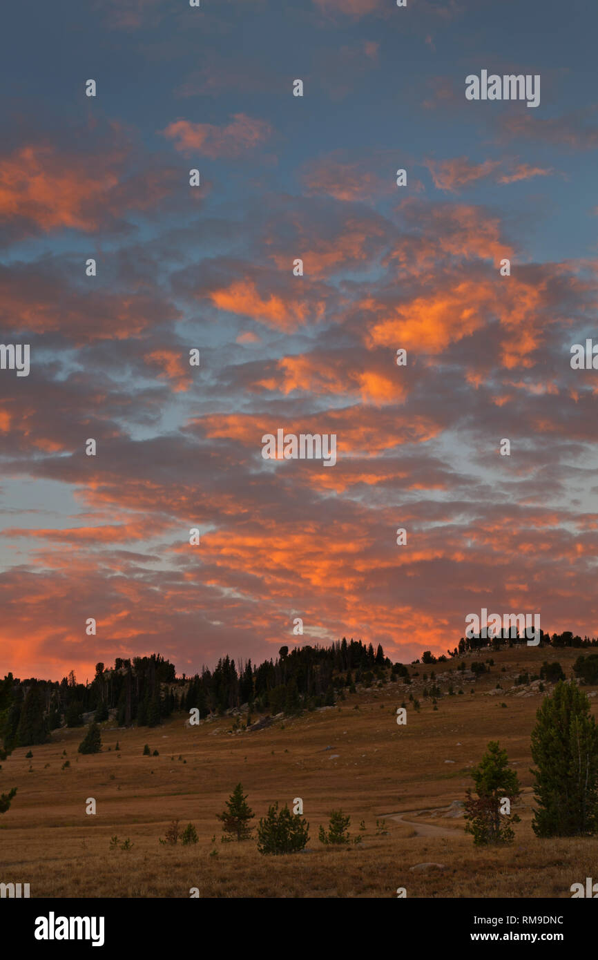 WY03713-00...WYOMING - Colorful sunrise over the open meadows along Road 149 just off the Beartooth National Scenic Highway in the Shoshone National F Stock Photo