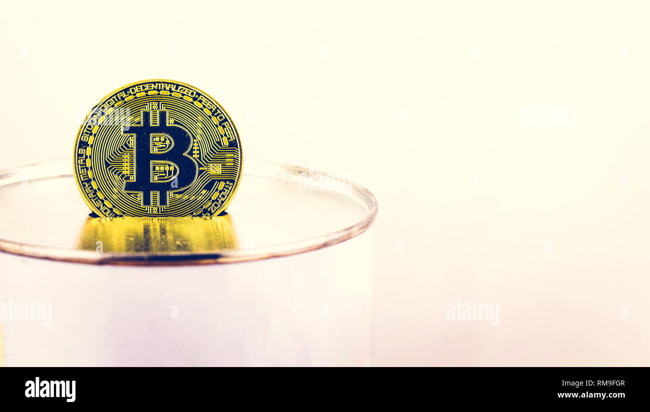 Golden Bitcoin in focus on a  moneybox isolated on white background with copy space Stock Photo