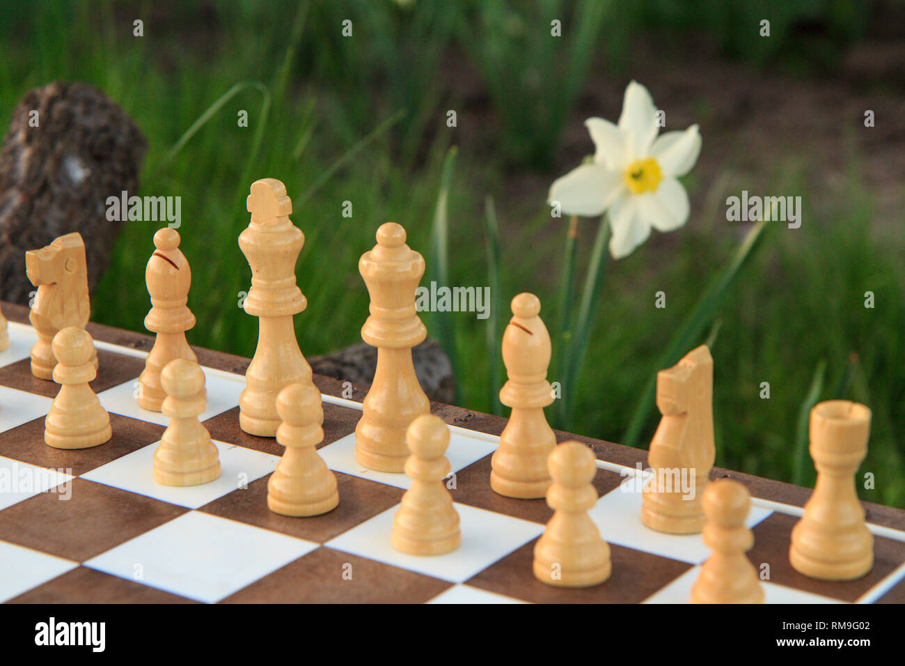 Chess Game in a Street Open Competition. Stock Image - Image of wood,  challenge: 279429957