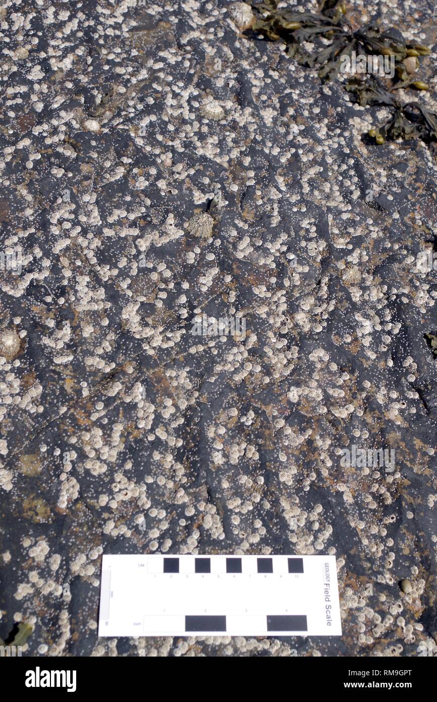 Bedform structure hi-res stock photography and images - Alamy