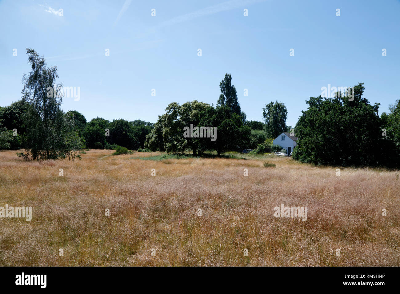 Barnes Common Barnes London Uk Stock Photo 236239410 Alamy