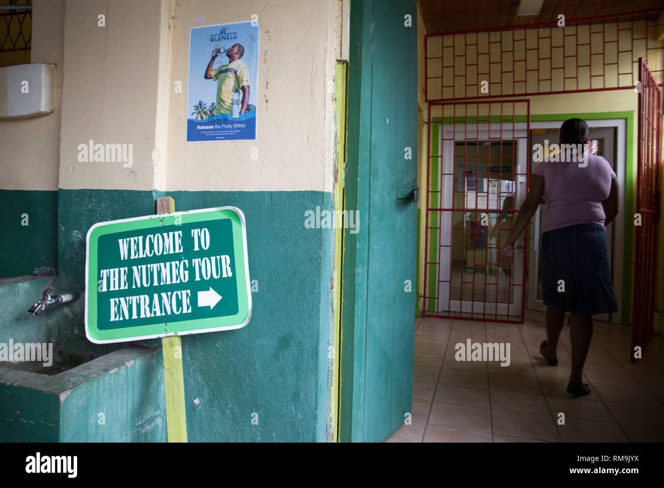 Grenada nutmeg plant hires stock photography and images Alamy