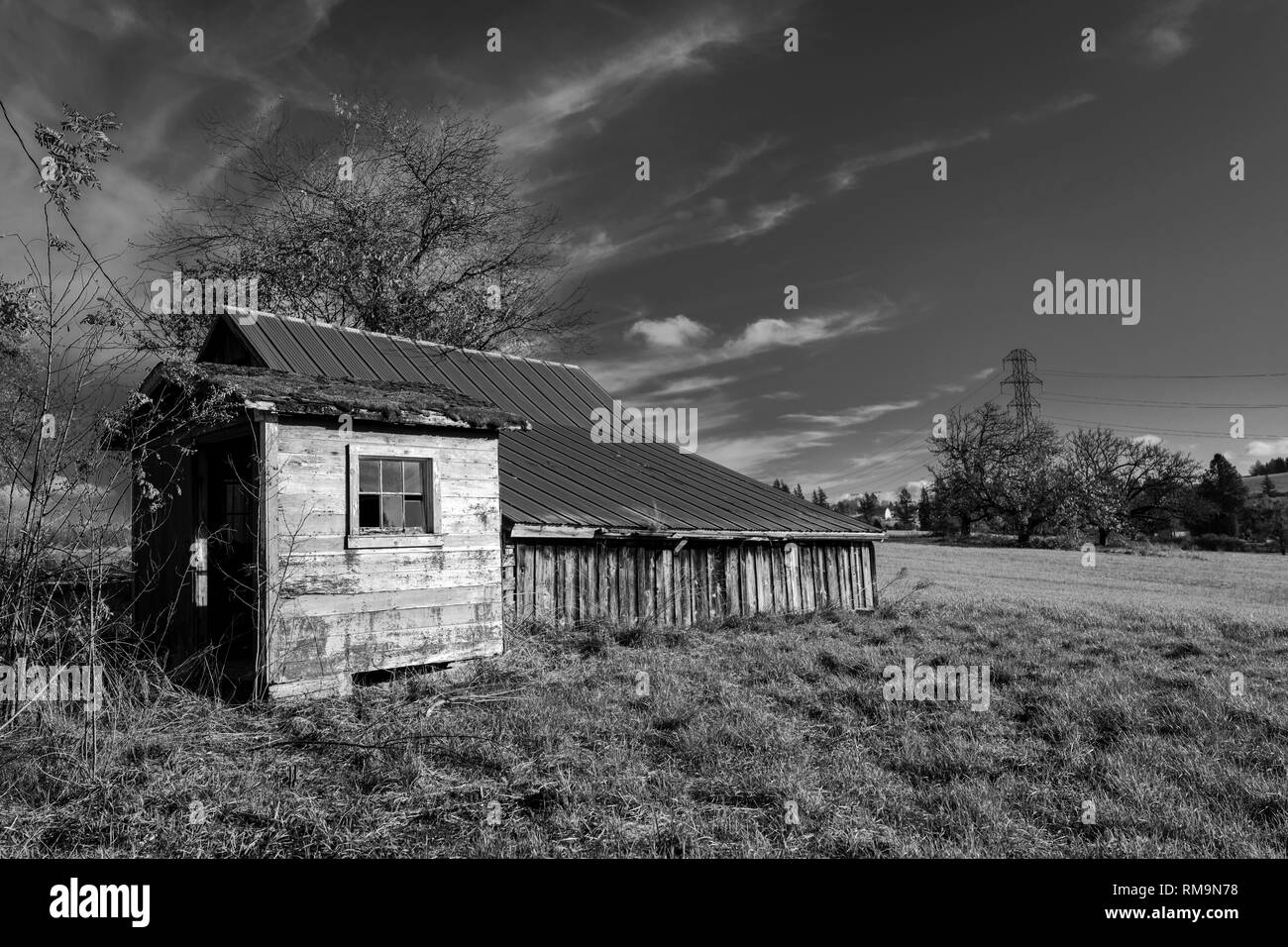 An old dilapidated non-residential barn without a shed with an extension without doors and broken windows stands in the middle of the field as a remin Stock Photo