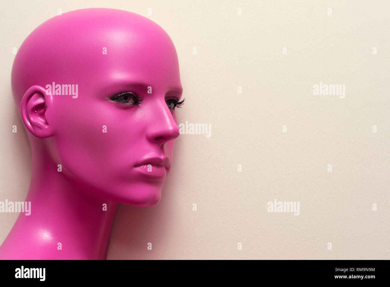 Bald head hires stock photography and images Alamy