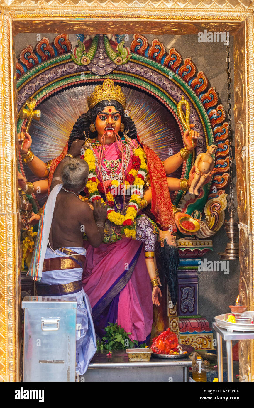 Hindu Priest Attaching Garland to Periyachi Amman, Tamil Hindu Deity, Guardian of Children, at Hindu Temple Sri Vadapathira Kaliamman, Singapore. Stock Photo