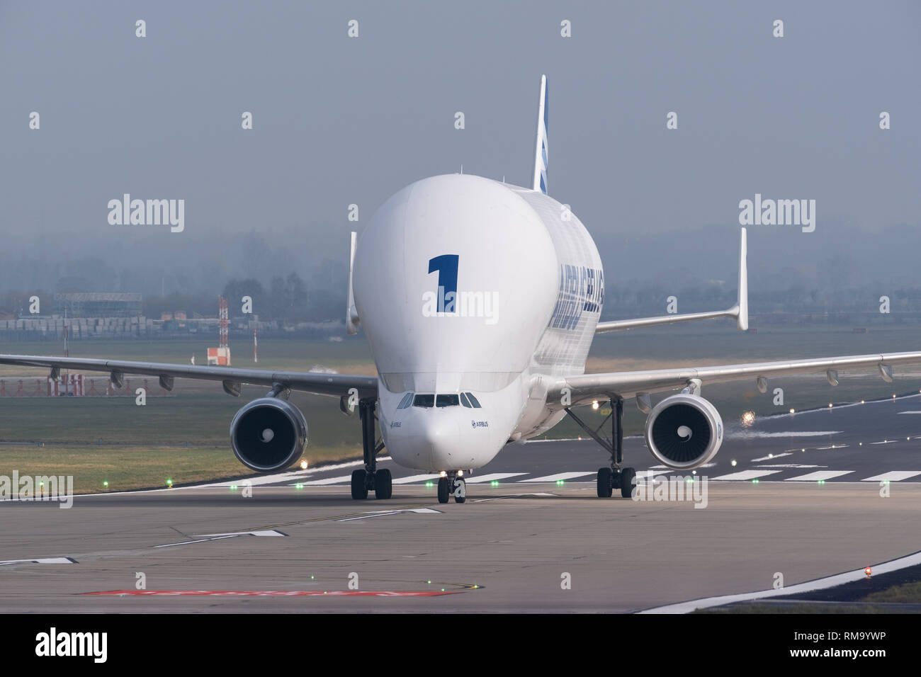 Hawarden Airport, Wales, UK. 14th Feb 2019. An Airbus Beluga A300-600ST modified to carry aircraft parts and oversized cargo, landing at Hawarden airport in north Wales on February 14, 2019. Airbus have announced that production of its A380 will end in 2021. Credit: Christopher Middleton/Alamy Live News Stock Photo