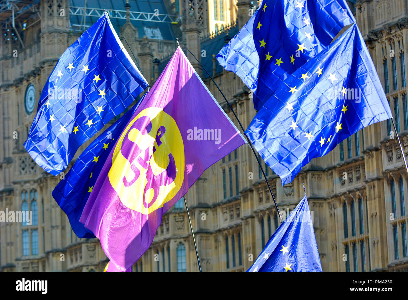 London, 14th Feb 2019. Hundreds of people turn out to anti-Brext protests, accompanied by a smaller number or pro-Brexit Leave means Leave protesters. EU and UKIP flags Stock Photo