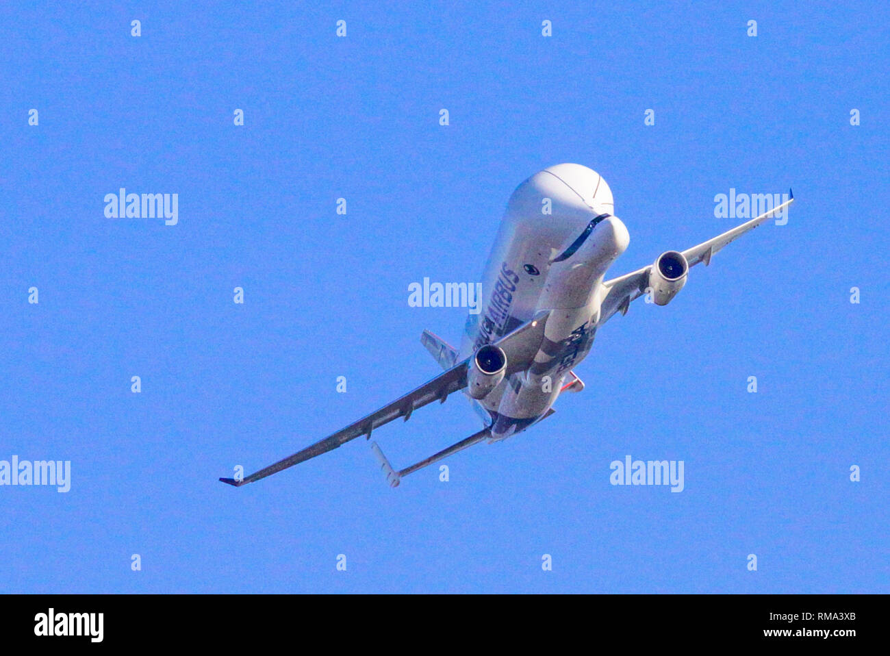 Filton, Bristol, UK. 14th Feb 2019. The Airbus Beluga XL is a giant carrier plan which will be used to transport Airbus wings between european production plants. The airplane resembles a Beluga whale and the whale face was added at the request of Airbus staff. Pictured is the first of five planned aircraft, which overflew Filton where the wings were designed. Stock Photo