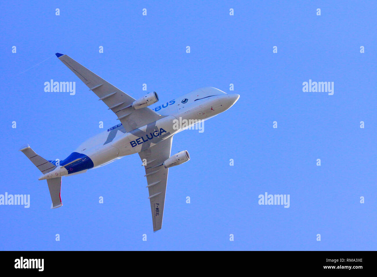 Filton, Bristol, UK. 14th Feb 2019. The Airbus Beluga XL is a giant carrier plan which will be used to transport Airbus wings between european production plants. The airplane resembles a Beluga whale and the whale face was added at the request of Airbus staff. Pictured is the first of five planned aircraft, which overflew Filton where the wings were designed. Stock Photo