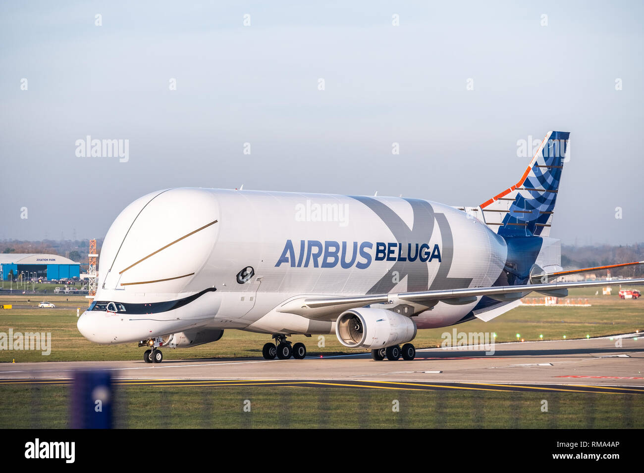 Hawarden, Wales, UK. 14th Feb, 2019. The Airbus Beluga XL (A330-743L), which made its maiden flight in Toulouse, France in 2018 has landed for the first time in the UK on Thursday, February 14, 2019 at Hawarden airport in Flintshire, north Wales. The aircraft is a modified A330 aircraft which is designed to carry aircraft parts and oversized cargo. It is capable of carrying 30% more than the current fleet of Beluga aircraft. Credit: Christopher Middleton/Alamy Live News Stock Photo