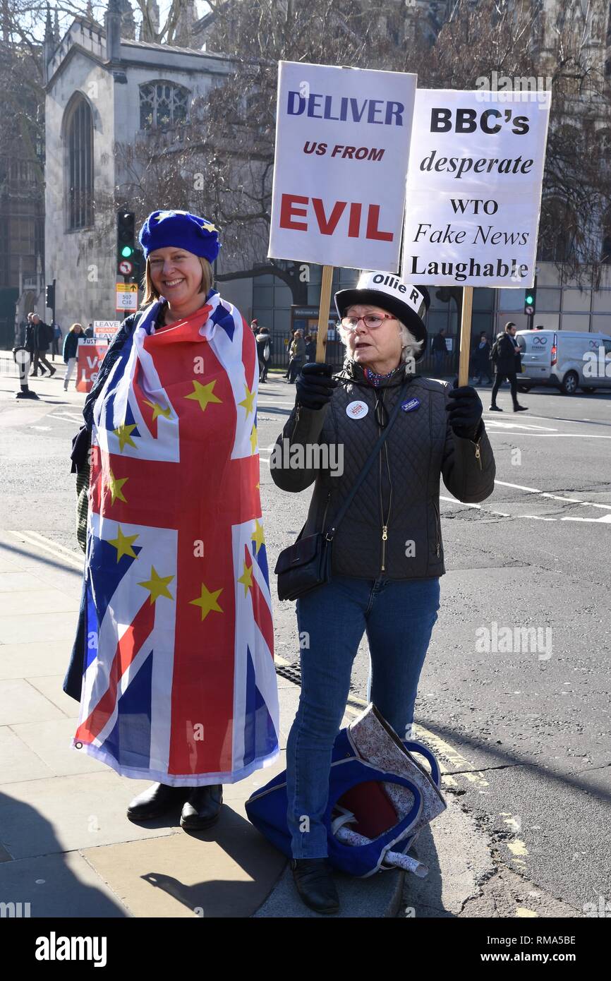 London, UK. 14th February, 2019. Protesters for and against Brexit join forces in a rare show of unity.Houses of Parliament, London.UK Credit: michael melia/Alamy Live News Stock Photo