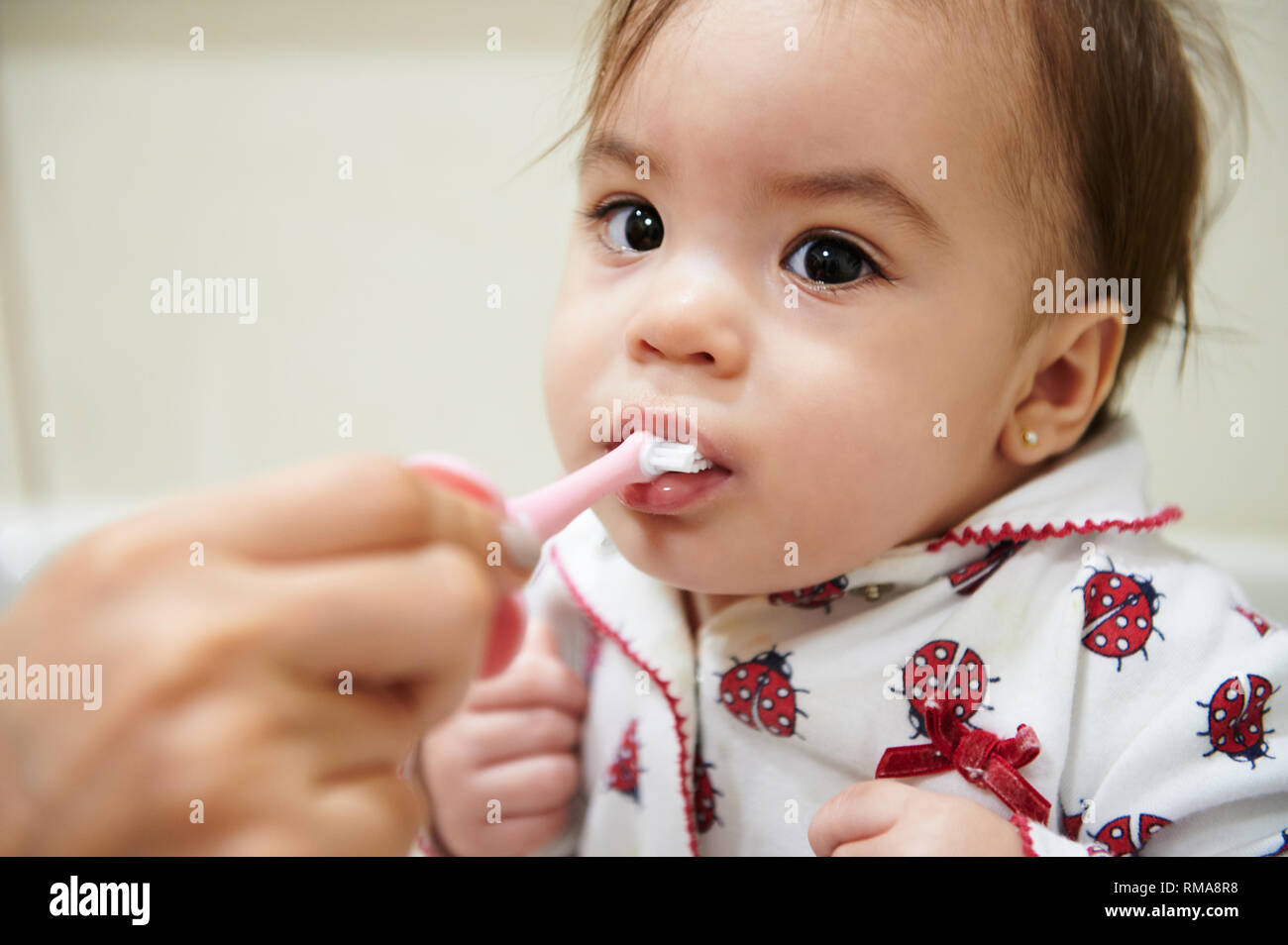 Portrait of baby brushing teeth with help of mom Stock Photo Alamy