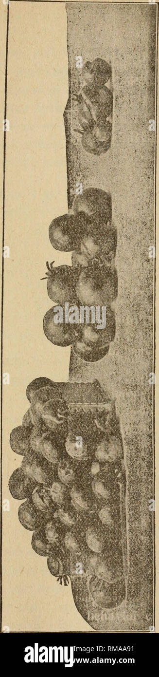 T4 03 High Resolution Stock Photography And Images Alamy