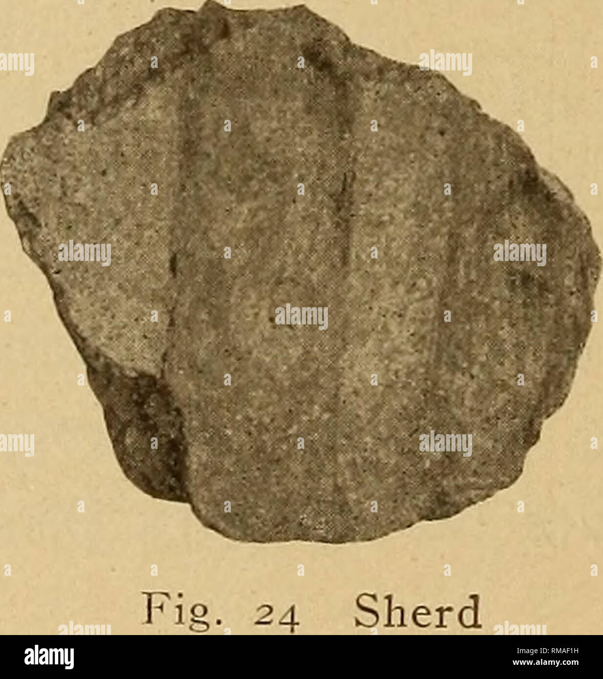 Page 3 Potsherds High Resolution Stock Photography And Images Alamy