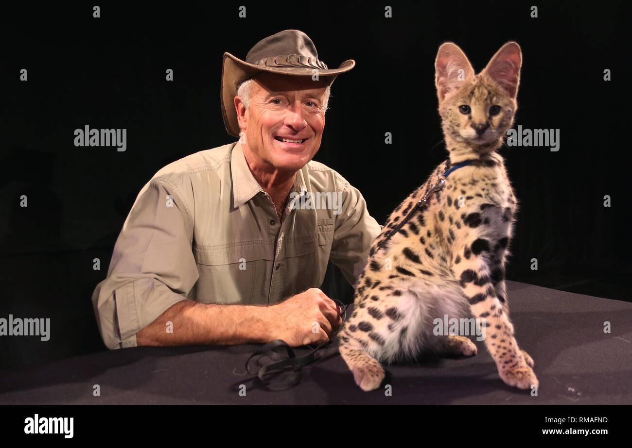 Jack Hanna - 'Into The Wild Live' - March 5, 2016 Stock Photo