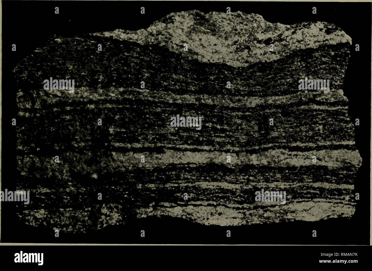 Diorite Gneiss High Resolution Stock Photography And Images Alamy