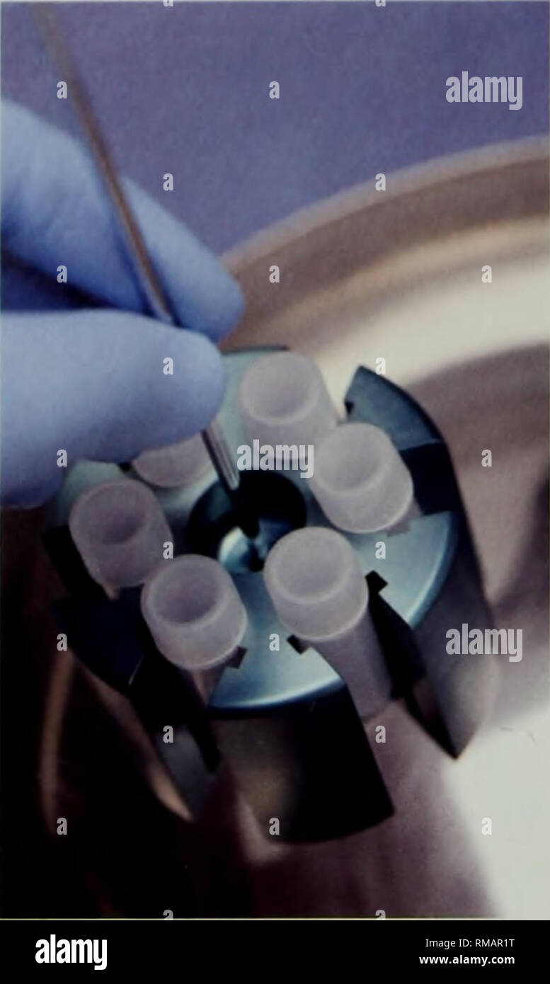 Cryo Storage Stock Photos Cryo Storage Stock Images Alamy
