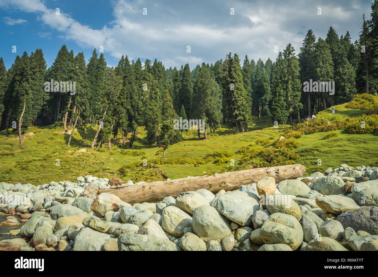 A log of wood in vast field of round boulders of a river bed in a landscape in Kashmir Stock Photo