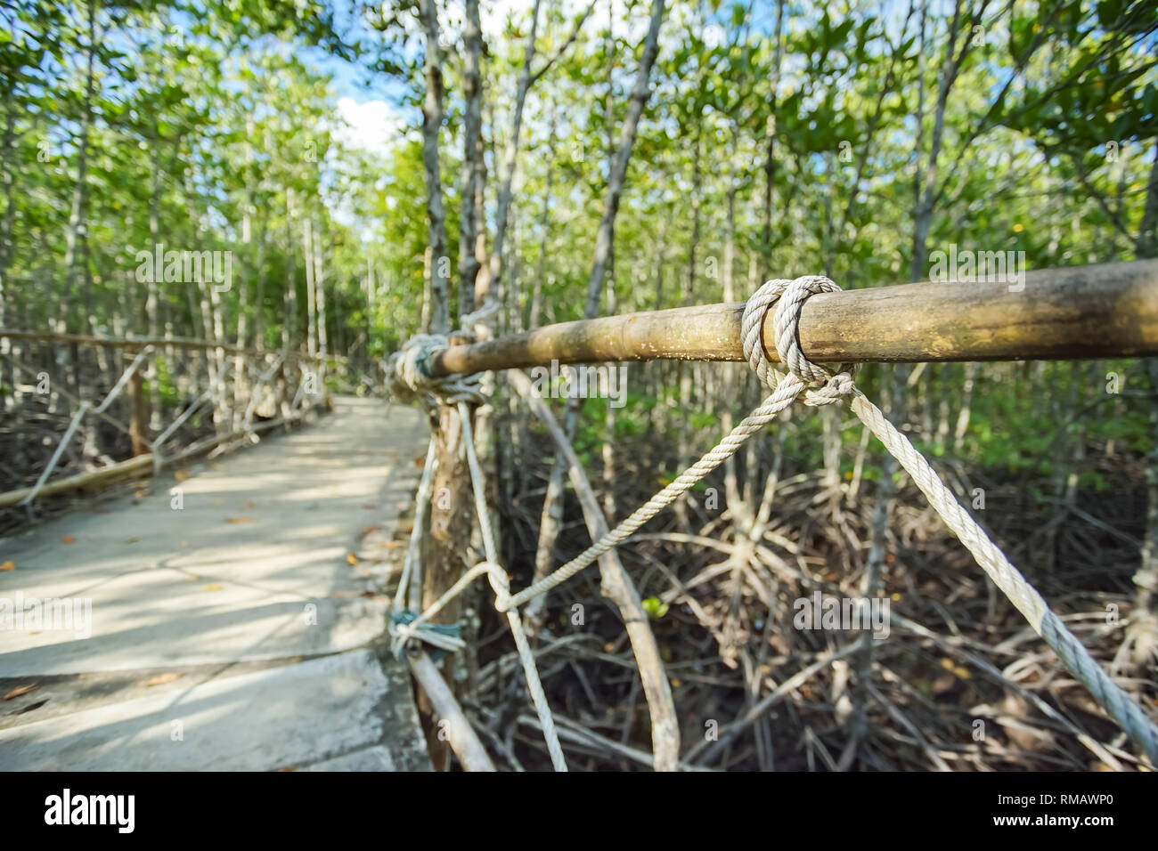 Mangrove forest education walkway in Trad province, Thailand. Stock Photo