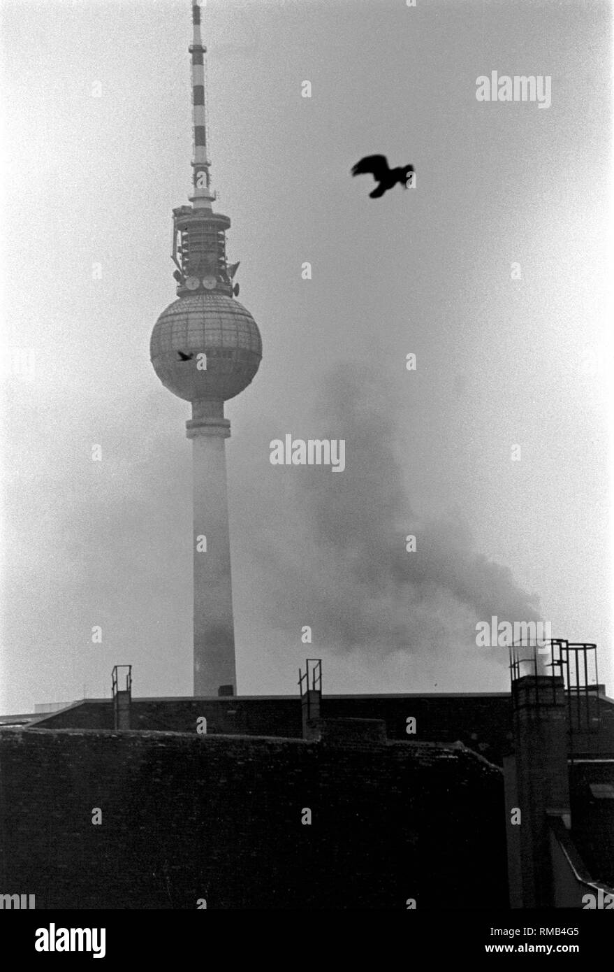 TV tower with smoking chimney (Humboldt - University / Section Psychology) and crow ...,Germany, Berlin-Mitte, 18.02.1985. Stock Photo