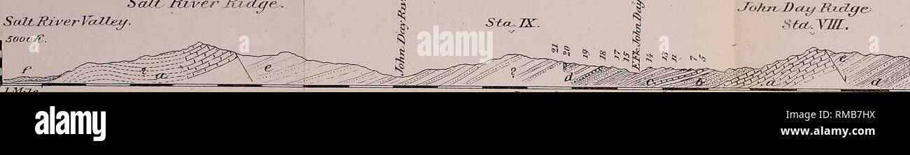. Annual report. 1st-12th, 1867-1878. Geology. SECTION ACROSS THE ^WYOMING RANGE , NORTH OF HOBACK CANON. Section ricf/'t bank at&quot;SiiAtkf Kii-er,bebwUaba^)^% Hohcutfa Gcuton-RuZc/e. GrosVen.tr-e,Mts. 5000 A'. -—&gt; jr. * AZE. Bccs&amp; Zma 5,OOOY€.above sea-ZeyeJL-. ^ E.a'lf- ——&gt;? E3SaAT. a*.ArcfTsCea-n, b. SiZurian,. c. Carbonifhroios-. A. ,Jjtjra.-Tritzs. e. Ijarctjrrvie^efjc. f. Ter&amp;to-y. g. Qua£emcu*u . 5000SC. SECTION ACROSS THE WYOMING RANGE, THROUGH STATIONS VI, Vm and IX SaJt Hiver Jtt &amp;if? ? J. ?Johjn^ D ay RuZxja MobcickCaJioriRi'.djie. Sta.:VHL.  HobcLcJc(Sfa..VT )F Stock Photo